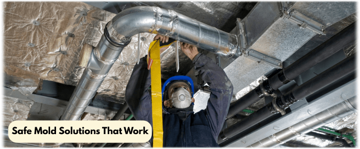 Air Duct Mold Removal in The Woodlands TX