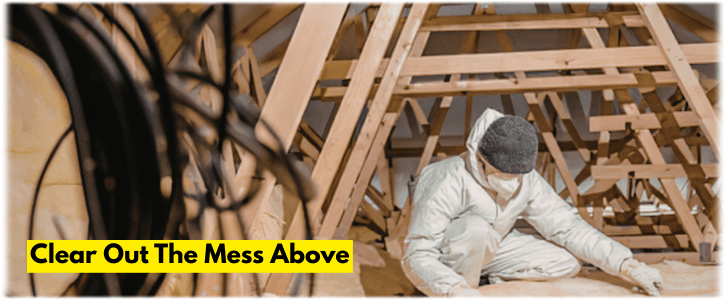 Attic Cleaning The Woodlands TX