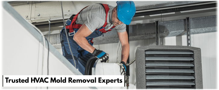 HVAC Mold Removal The Woodlands TX